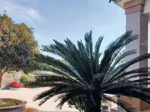 工厂照 工厂照